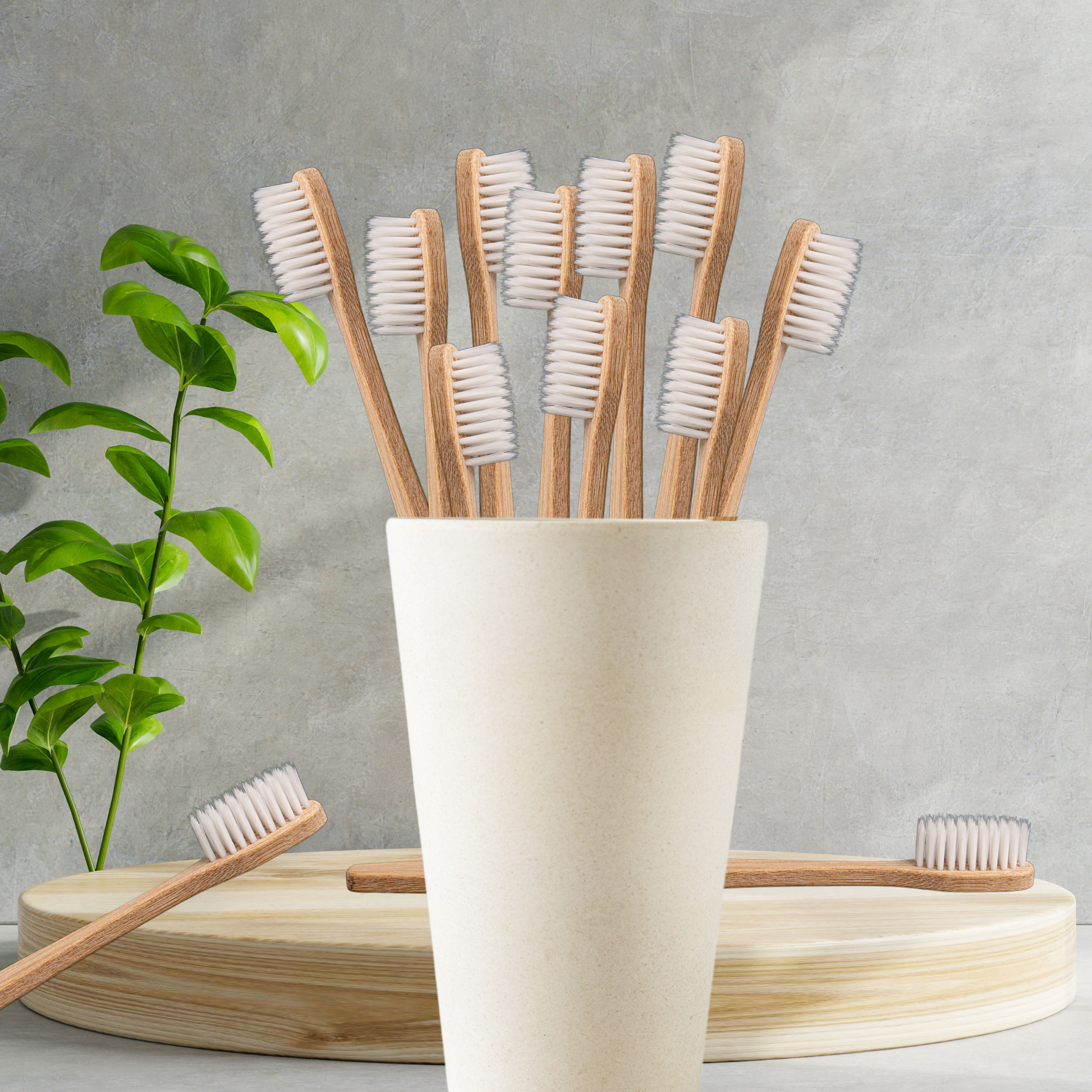 Bamboo Toothbrush Bundles