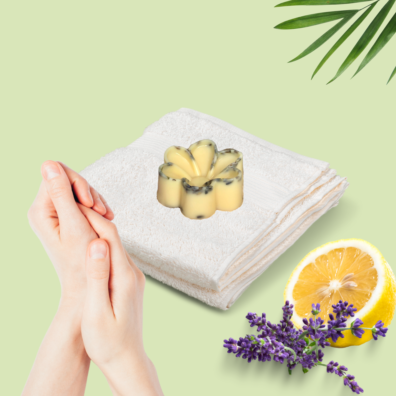 Solid Lotion Bars – Case 6
